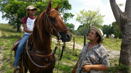 vendo caballo colombiano hermoso manso y arre - Imagen 2