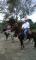vendo-caballo-colombiano-hermoso-manso-y-arrendado-con