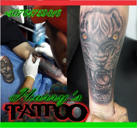 harry aponte soy un tatuador profesional me e - Imagen 1