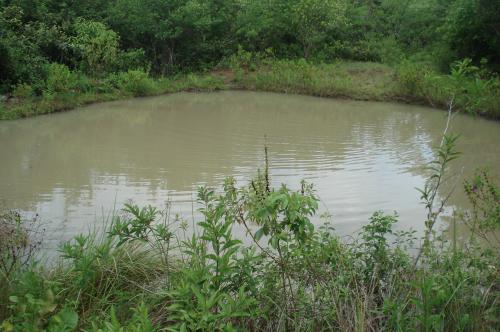 Se vende FINCA 43 hectareas con lago agua ru - Imagen 2